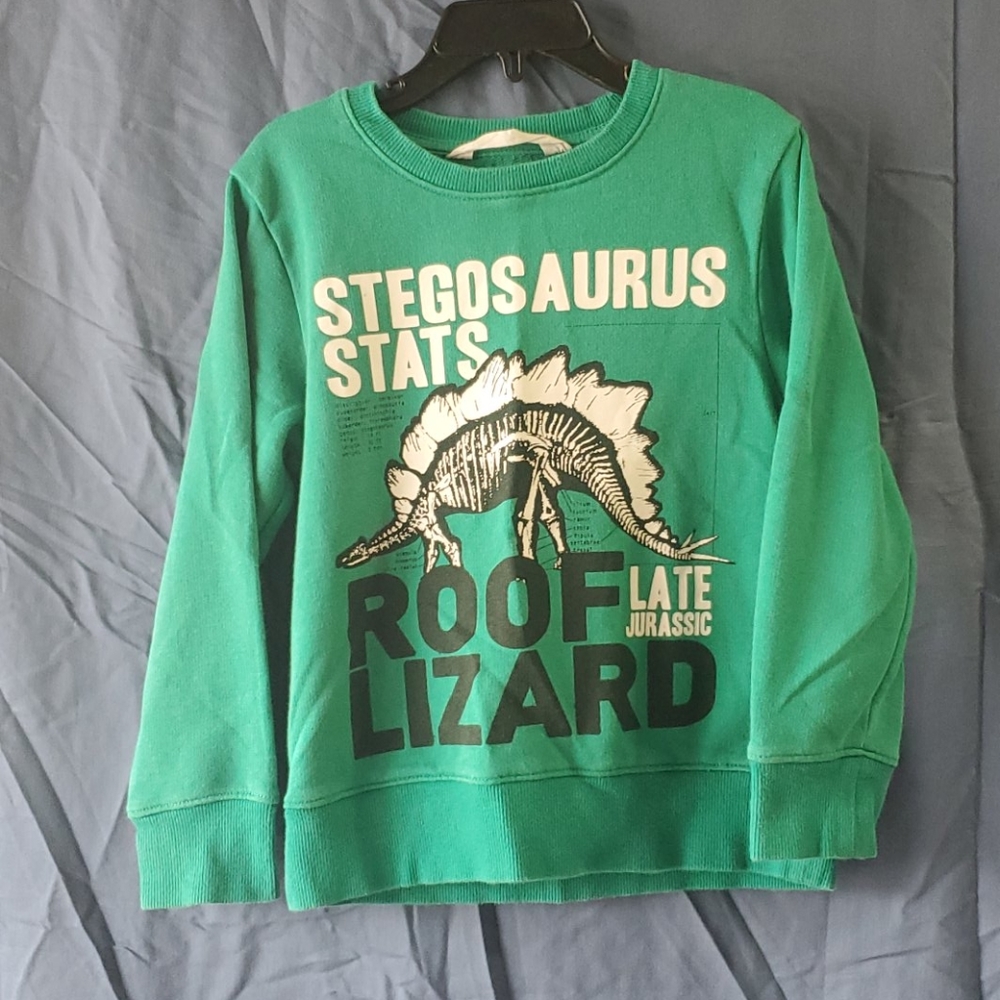 Boys dinosaur sweatshirt